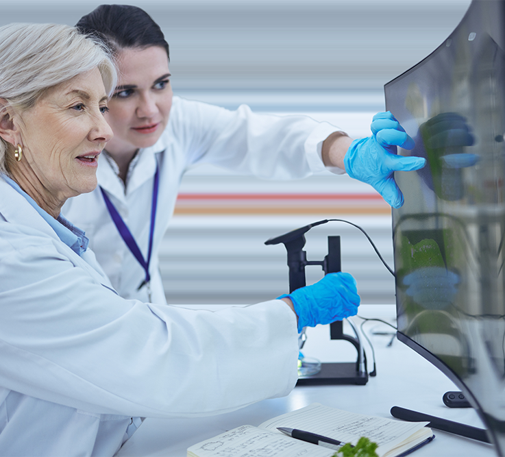 Two scientists discussing something on a large computer monitor